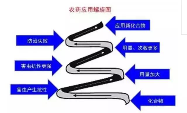 草莓叶片边缘发黑是怎么回事,草莓叶片发红发黄怎么回事