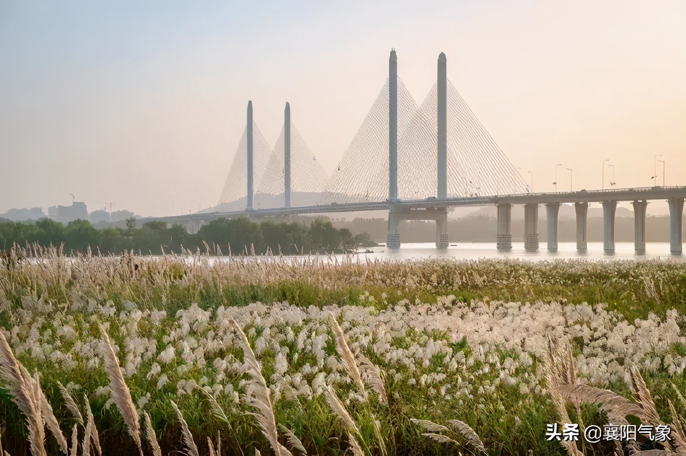 天气维持多云,山东最高气温多云