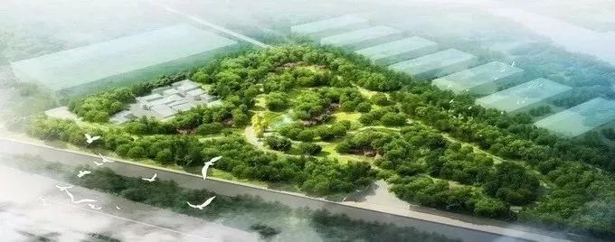 北京东五环新建公园大全,北京新开40个公园详细位置公布