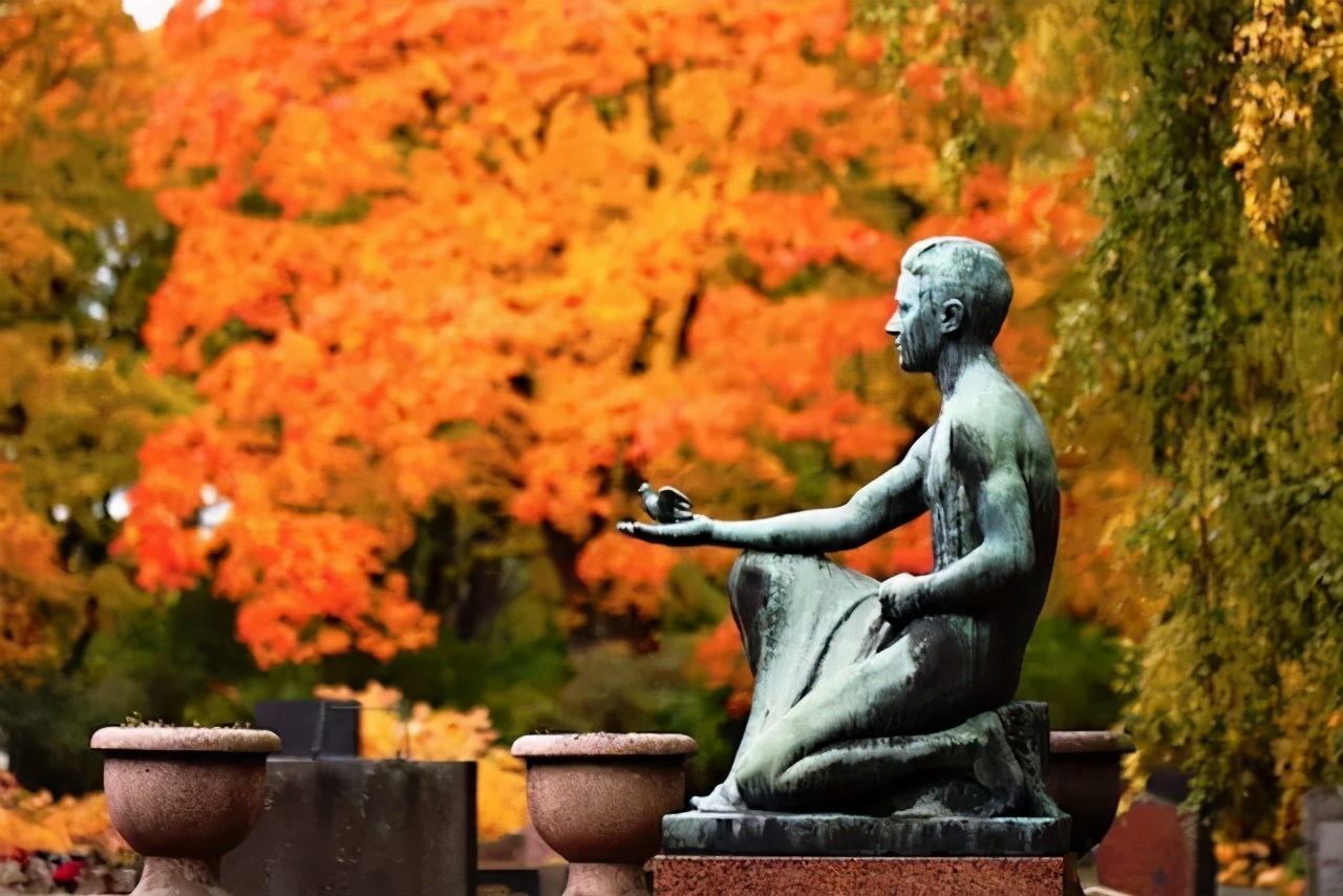 新手摄影怎么拍出质感,新手如何拍出好的作品