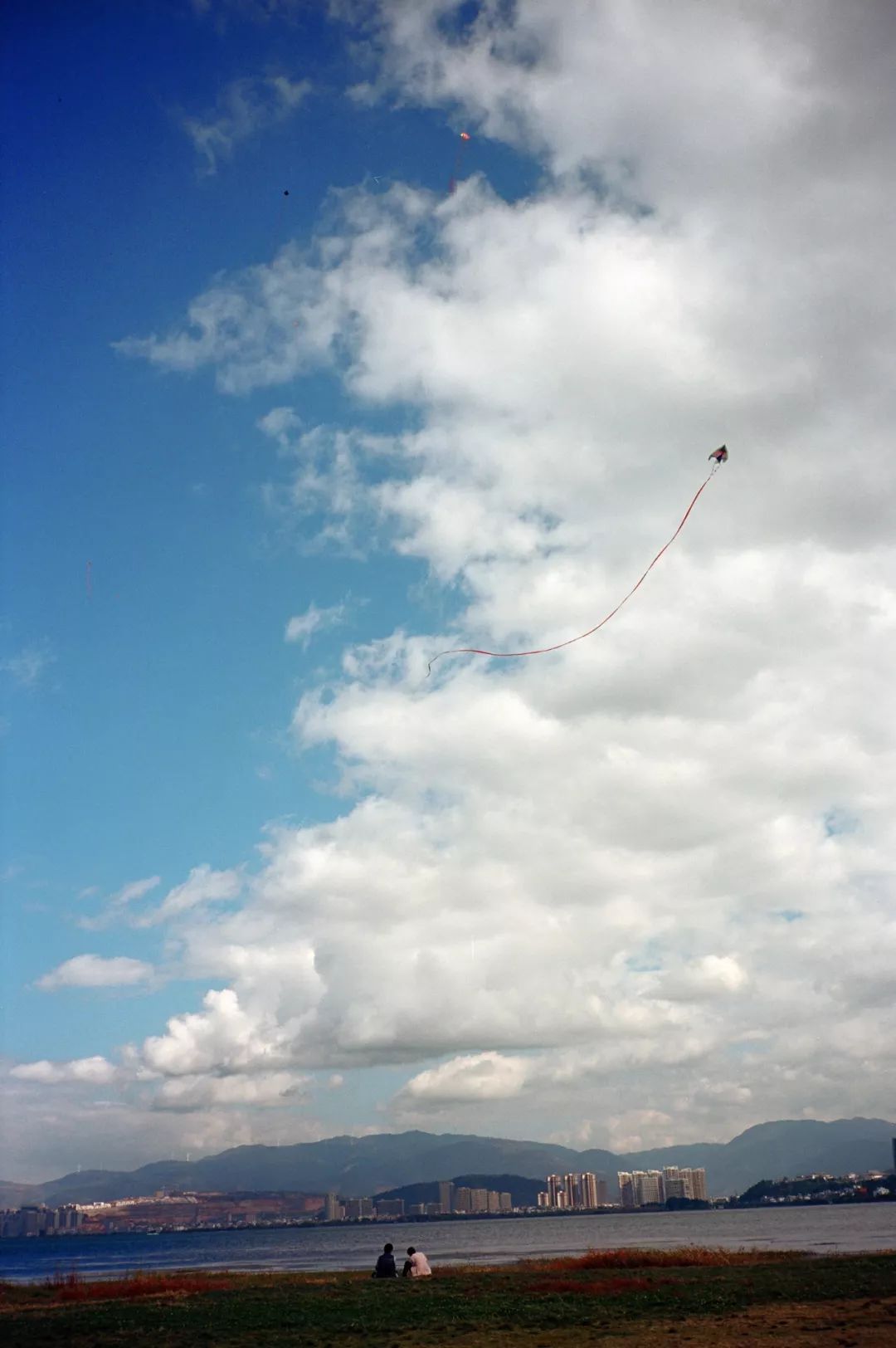 太格有物怎么样,太格有物