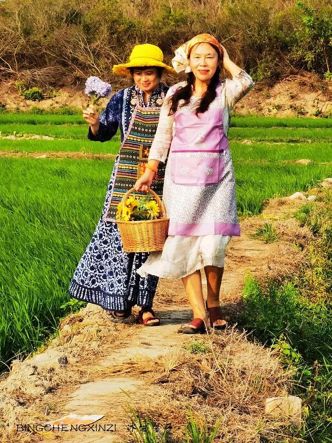 做把“村姑”,走进海南灯火灿烂的火龙果园