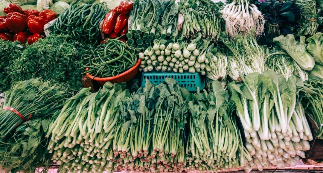 世警会来到成都吗,世警会成都推介