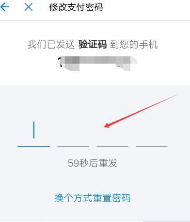 支付宝支付密码忘了怎么办有人脸,支付宝支付密码忘了怎么办小学生