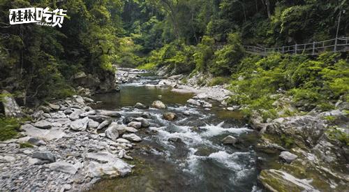 桂林天然温泉推荐,桂林人间仙境仙家温泉
