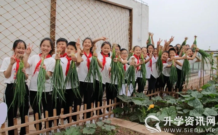 三岔河小学教师招聘,成都市东部新区教师公开招聘