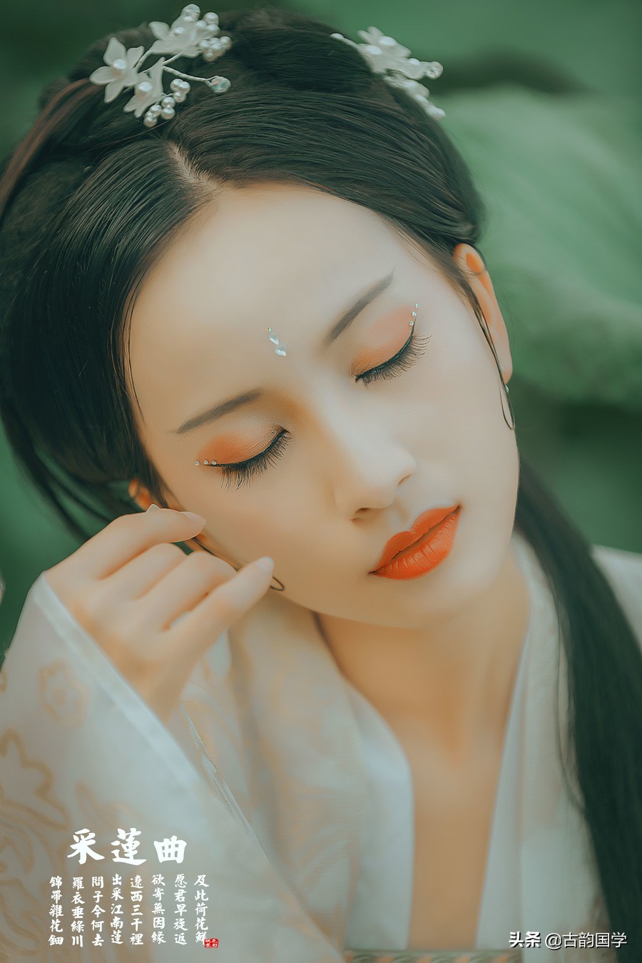 荷花诗经典100首,荷花诗词330首下篇