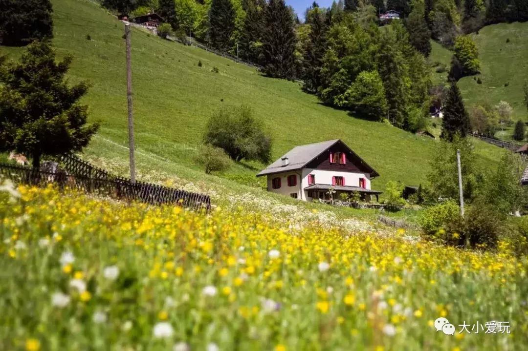 在瑞士带娃,在瑞士带孩子