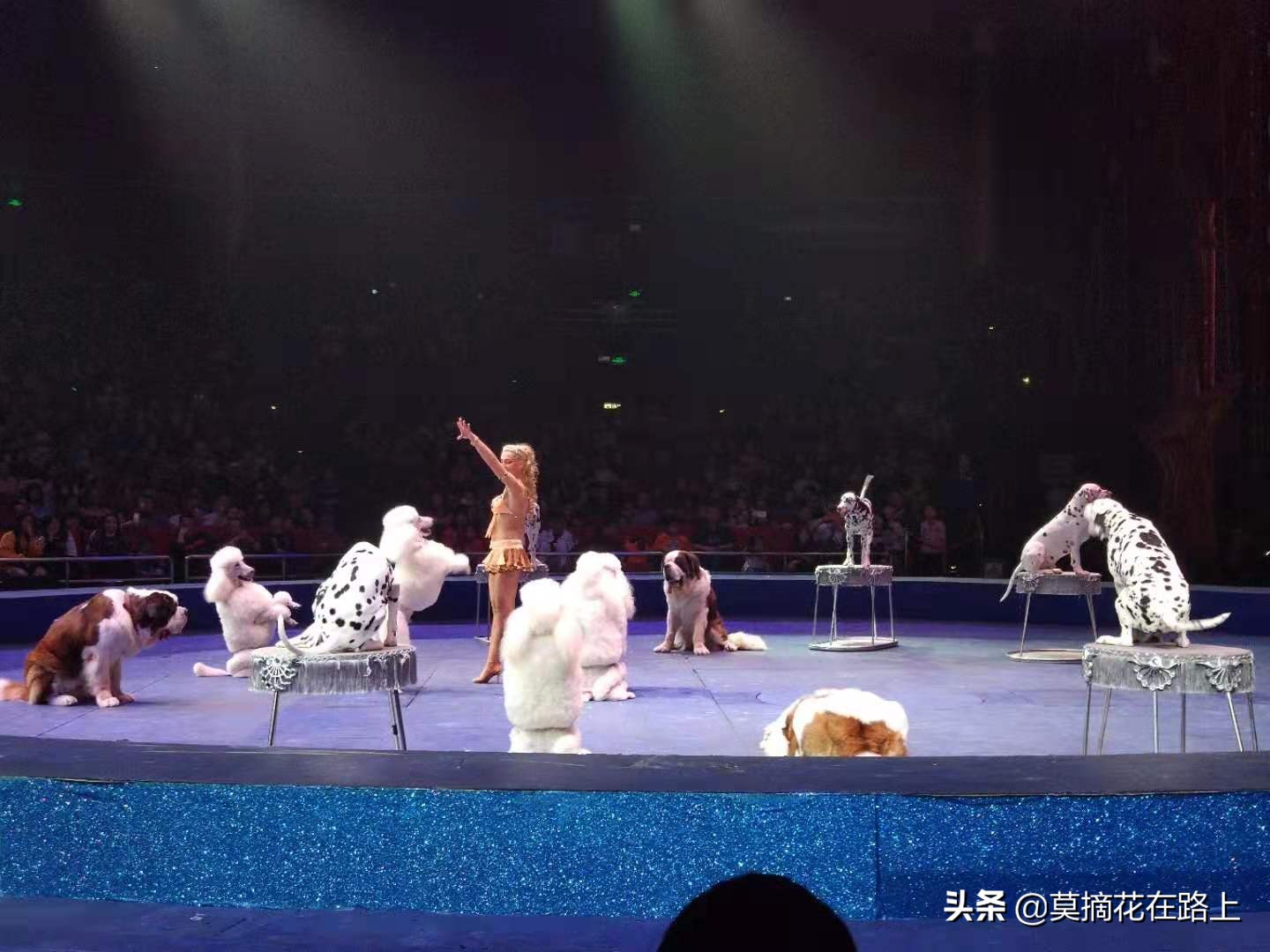 推荐去珠海长隆旅游的原因,一场说走就走的旅行珠海长隆