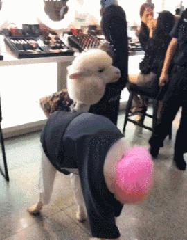 无线路由器搞笑图片,搞笑路由器视频大全