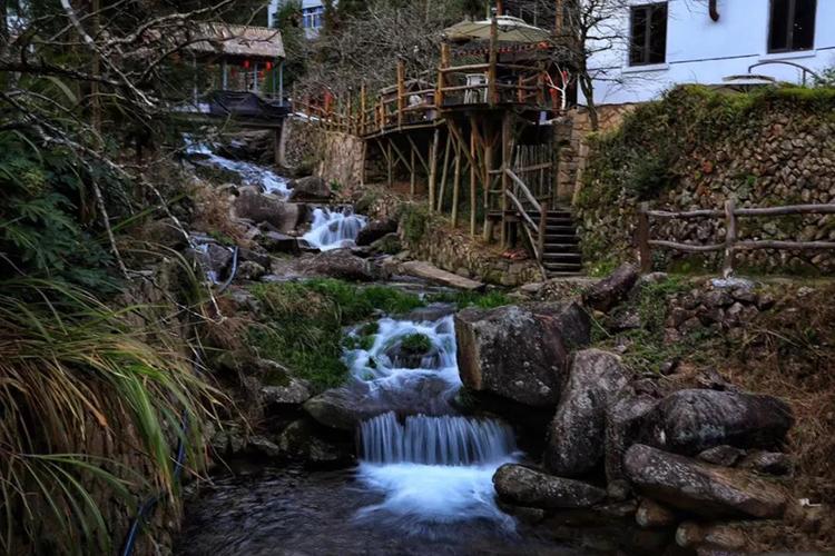 清晨走进森林氧吧呼吸新鲜空气,一起去森林氧吧洗肺