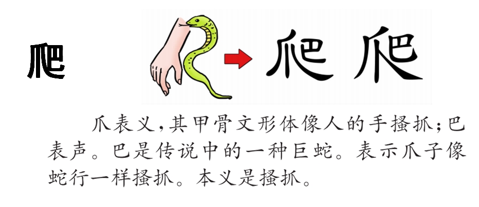 小学语文小壁虎借尾巴学情分析,小壁虎找尾巴课文原文人教版