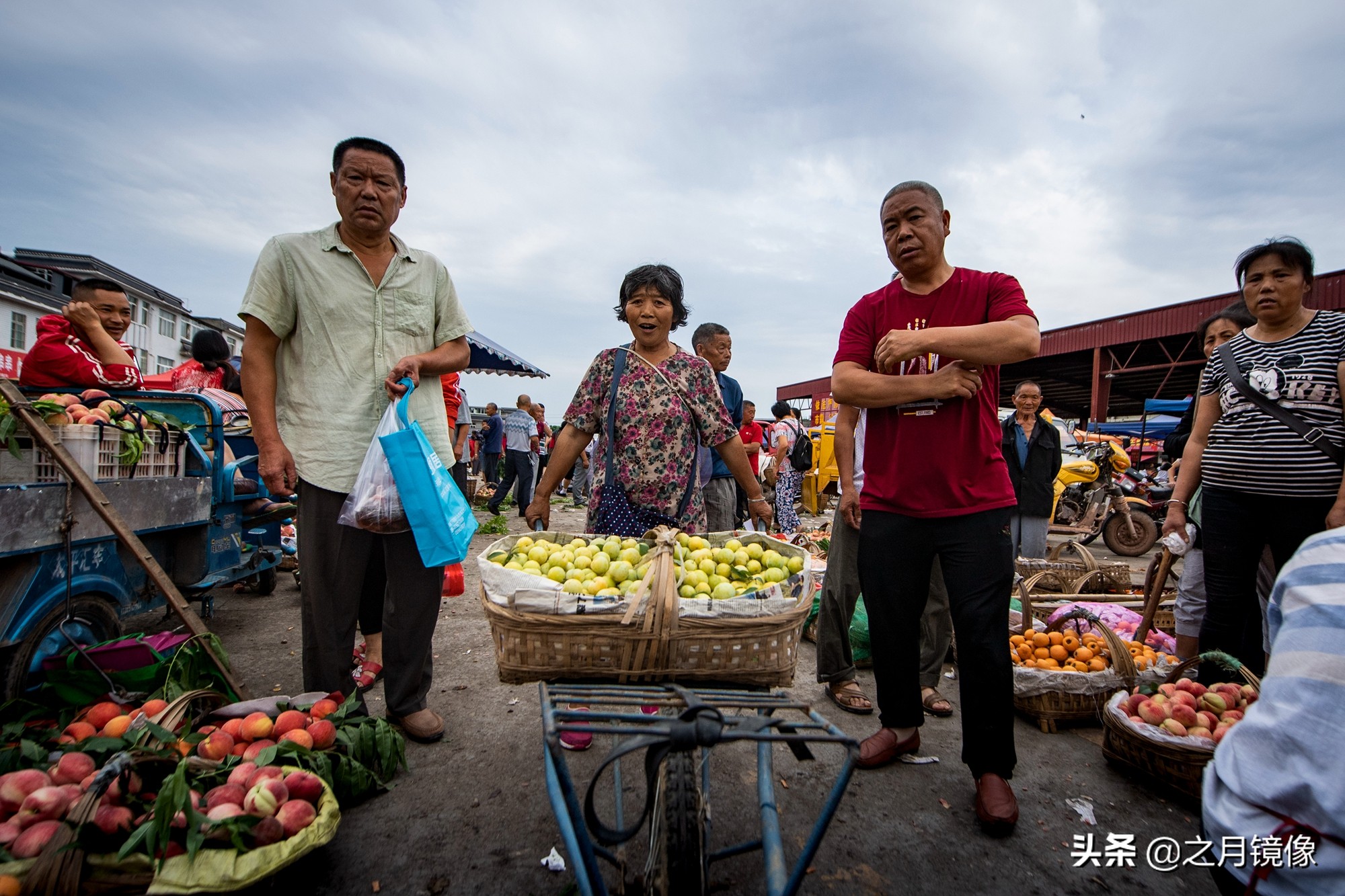 天府新区太平枇杷,成都太平枇杷批发市场