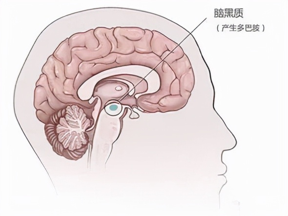 用筷子夹菜手抖是否是帕金森前兆,无缘无故手抖是得抑郁症