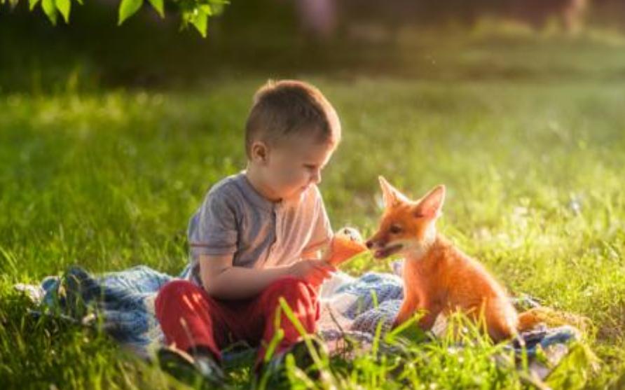 为什么小孩喜欢过家家,小孩喜欢过家家代表什么