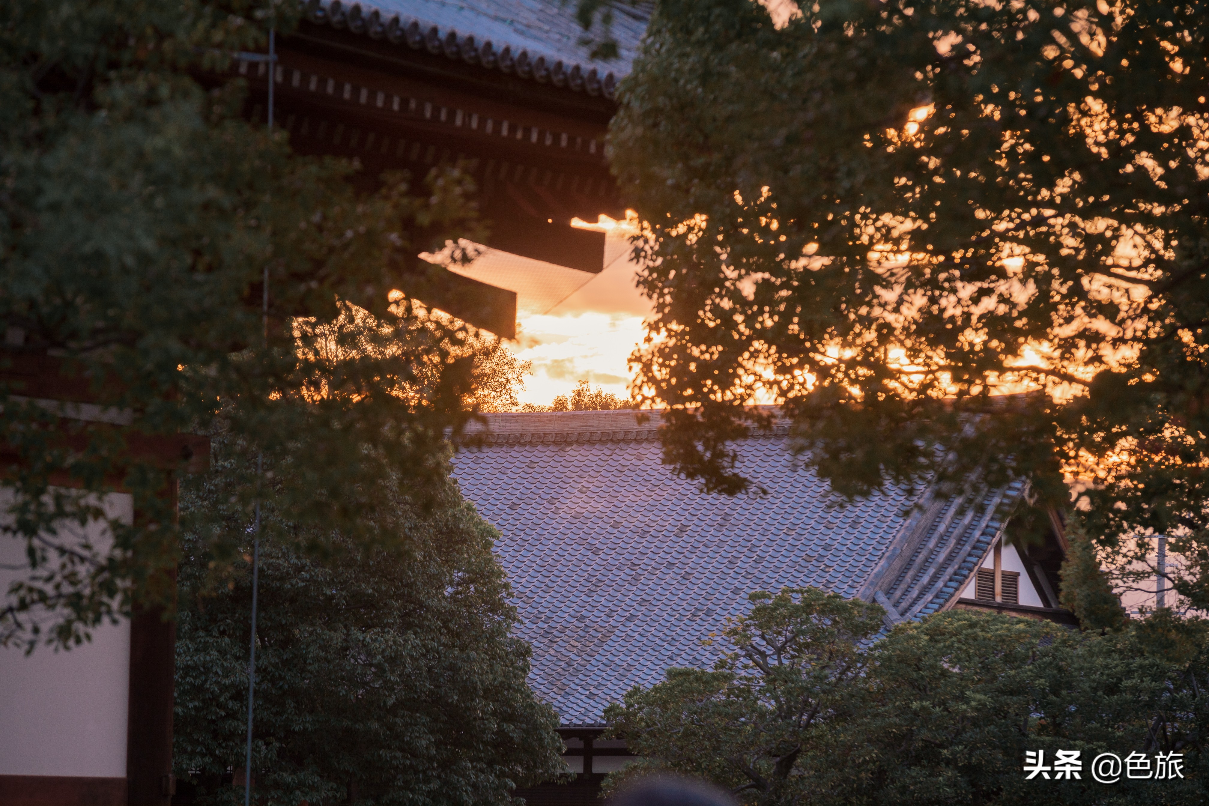 妖猫传日本访唐,妖猫传日本大师