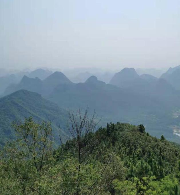 国庆节在深圳你不运动你长肉啊#运动#达人#徒步#骑行