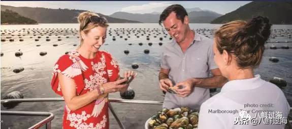 引入活青口贝、鲜帝王鲑,新西兰海产出口商的新生力量!