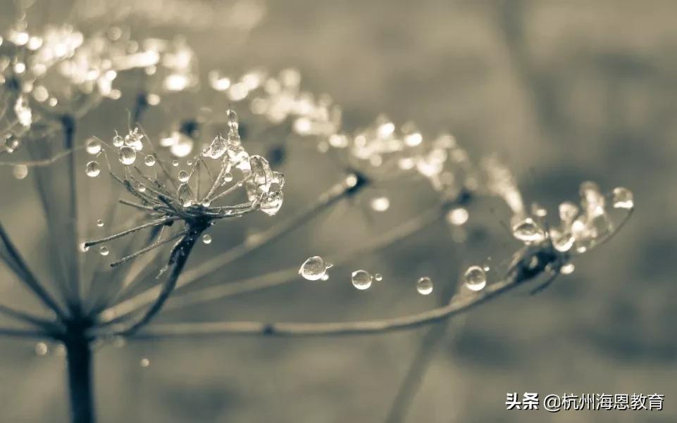 亲子关系疏远的真相,亲子之间的冷漠与关怀