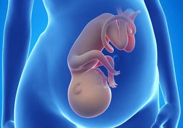 教你看懂怀孕b超单,为什么孕检b超单内容这么简单