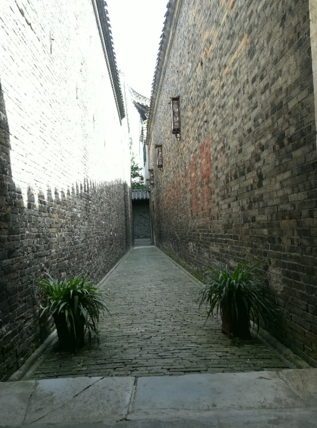 游小盘谷翻译,游小盘谷记赏析