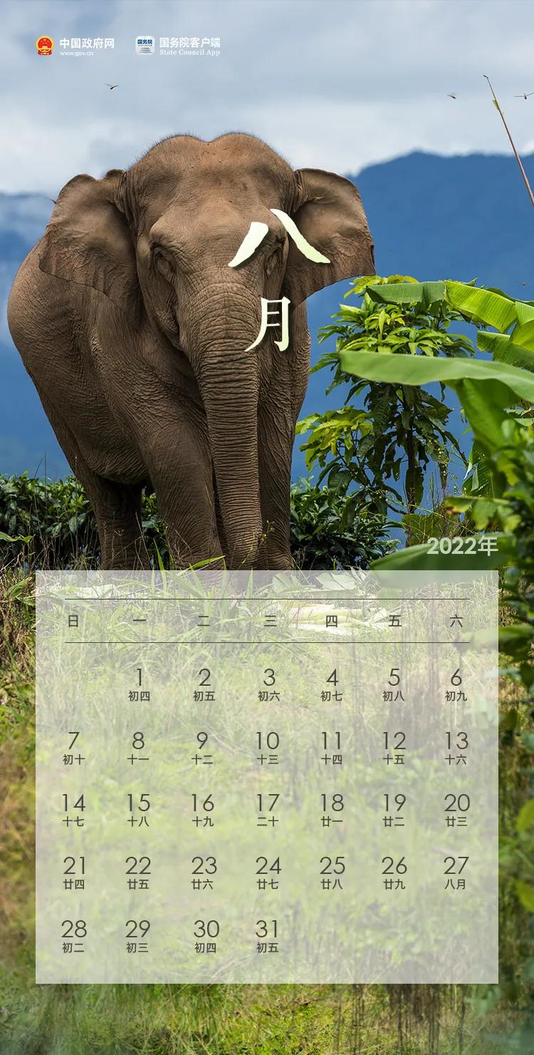 2022年放假安排来了,端午放假安排2022年