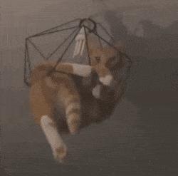 常见的20种网赚骗术揭秘,韭菜有效套路