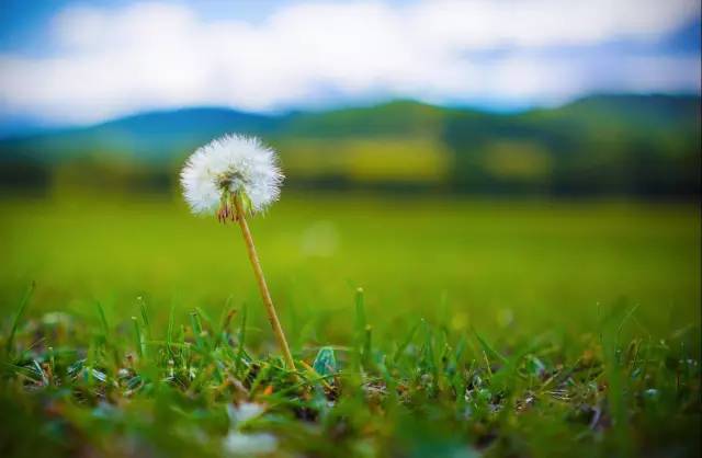 如何用好35mm焦段,35焦段拍摄的优点和缺点