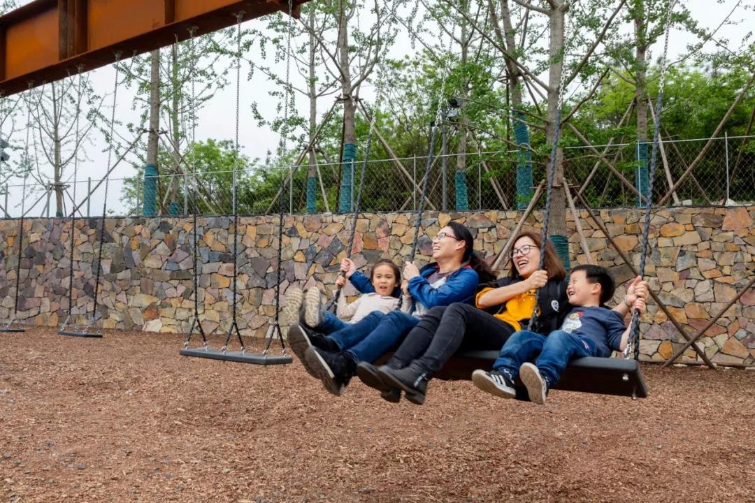 息县龙湖公园最美风景,美好可期风光无限