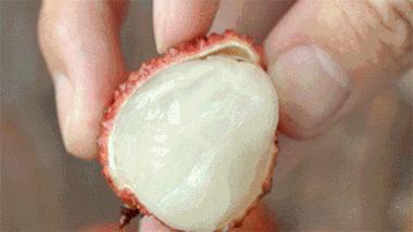 中国天然氧吧在惠州哪里,惠州大自然氧吧