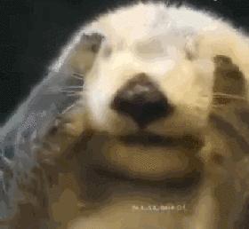 洗脸洗多了毛孔变大怎么办,洗脸洗成痘痘肌