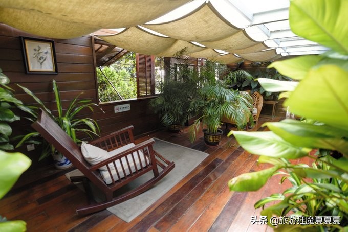 在三亚感受亚龙湾的惬意,三亚亚龙湾热带雨林美景