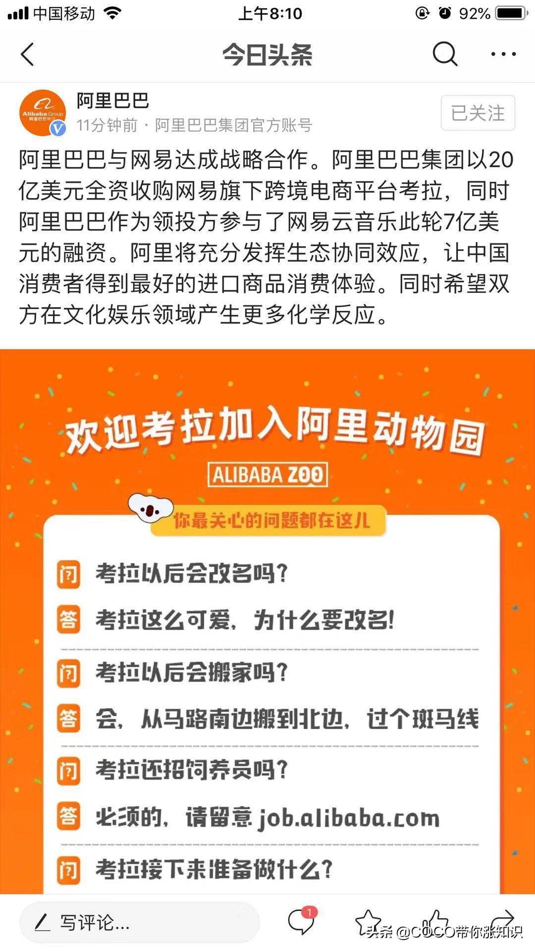 9月6日官宣：网易考拉加入阿里动物园