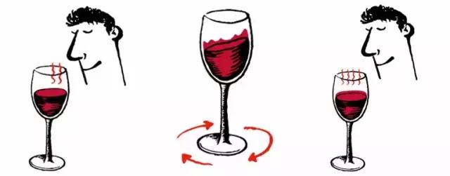 启智说说|“人人都该知道的葡萄酒基础知识”分享