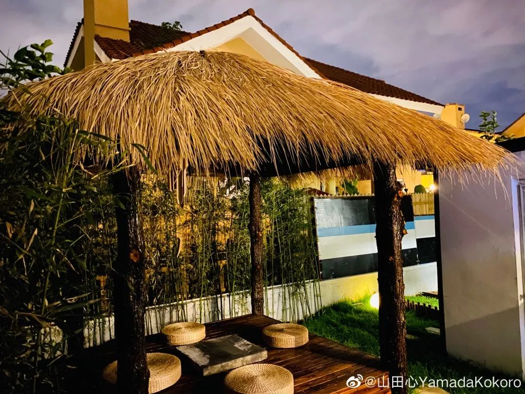 自从看了李子柒的视频,看了李子柒视频想回农村老家