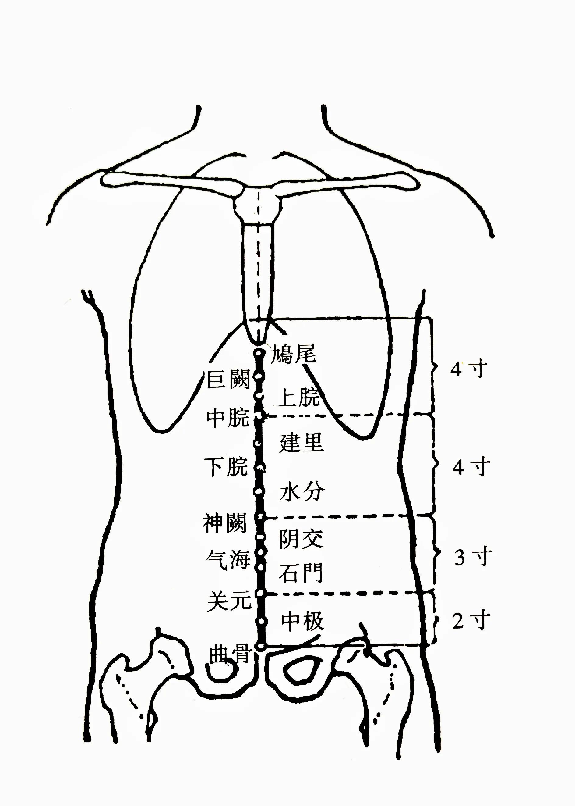 针灸第四十六集,针灸46集视频