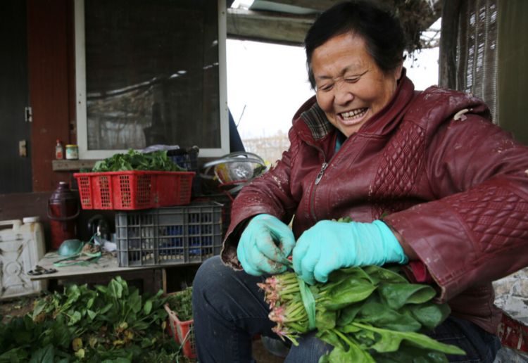 农村大妈分享治疗肝偏方,农村土方法治肝硬化