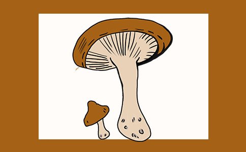 睡觉前故事大全长篇文字 (超甜睡前故事)