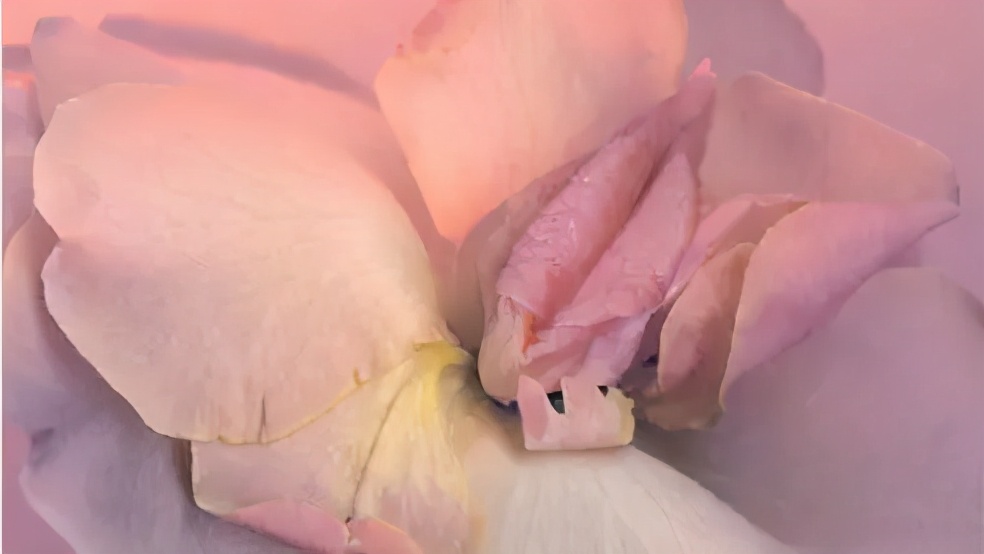 私密整形最新技术,北京菲悦国际私密整形