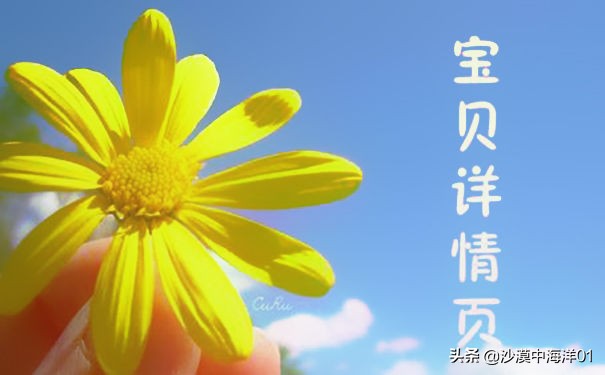 淘宝客服不回复怎么投诉商家,淘宝客服不回复信息怎么办