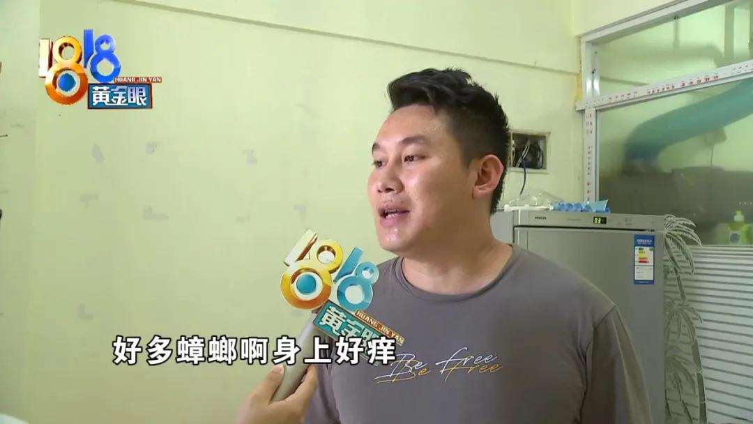 租房子蟑螂太多不想租了怎么办,租房蟑螂多和房东退房如何说