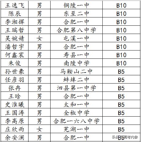 深度揭秘19年北京大学博雅计划安徽入选数据:两所高中遥遥领先