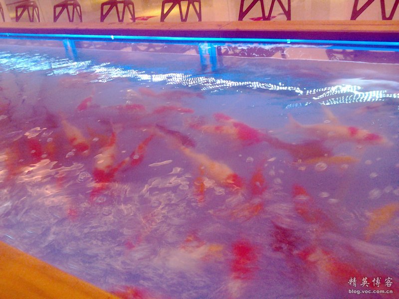 鏍床缇庣殑鏃朵唬骞垮満,鏍床缇庣殑鏃朵唬骞垮満鍋滆溅鏀惰垂