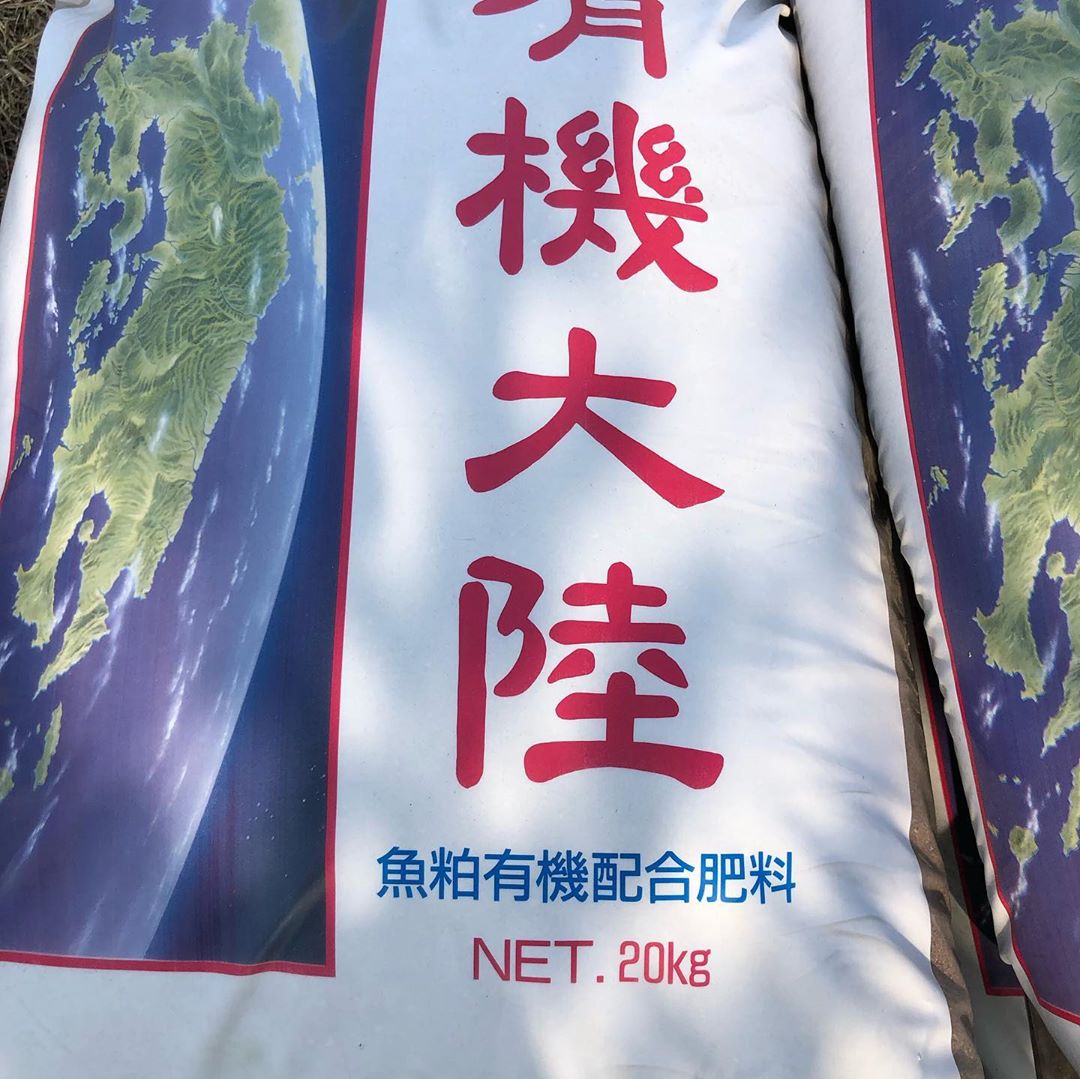 日本青森苹果图片,走进青森苹果园