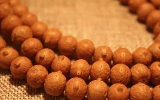 凤眼菩提眼睛漏了怎么办,凤眼菩提的眼睛各种形状