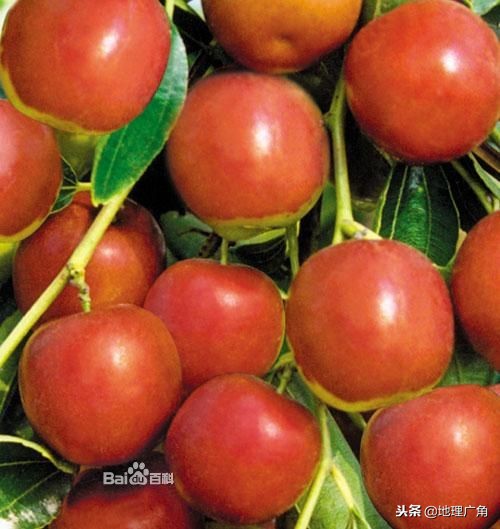 山东标志性美食图片,山东特色优质农产品目录