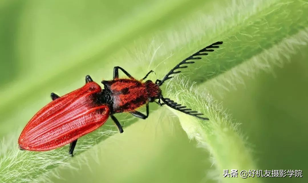 照片灰蒙蒙的怎么拍,照片灰蒙蒙的怎么变清新