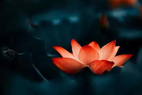 帛书版道德经第六十一章,道德经第十六章十七章