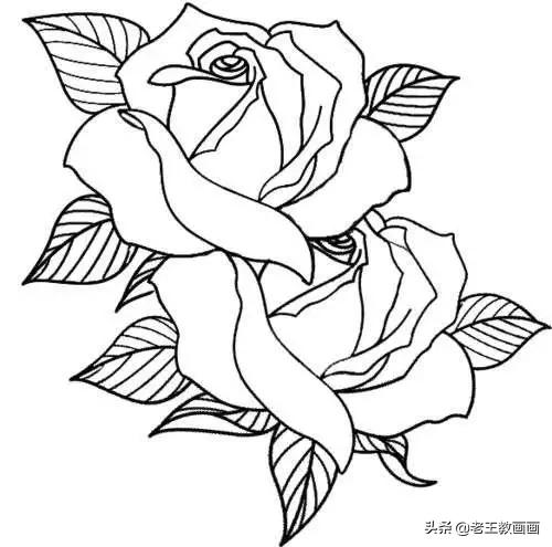 最简单的简笔画教程,超简单儿童简笔画入门初学