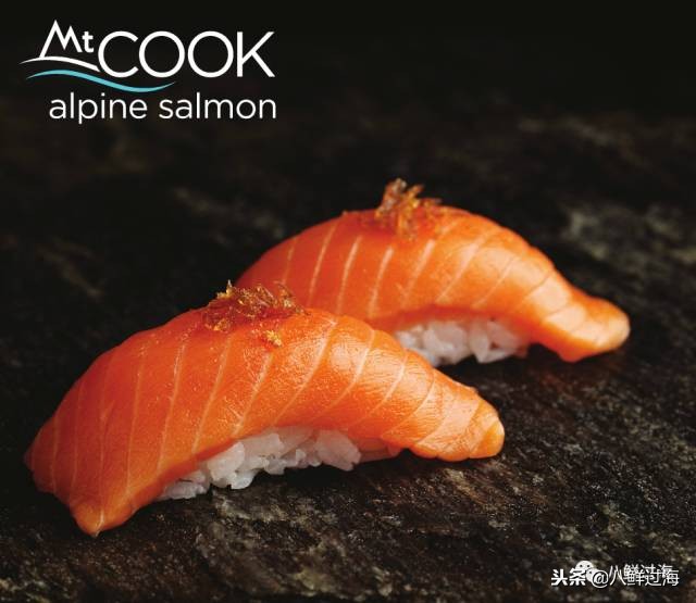 引入活青口贝、鲜帝王鲑,新西兰海产出口商的新生力量!
